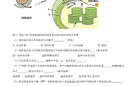 精品解析：上海市徐汇区2022~2023学年高三上学期第一次模拟考试生物试题（解析版）_0122026上海中考一模二模真题试卷_2026年上海一模_上海1500初中高中试卷_高中_高三_模拟卷_生物