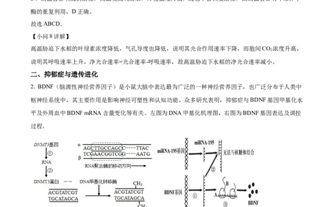 精品解析：上海市徐汇区2022~2023学年高三上学期第一次模拟考试生物试题（解析版）_0122026上海中考一模二模真题试卷_2026年上海一模_上海1500初中高中试卷_高中_高三_模拟卷_生物
