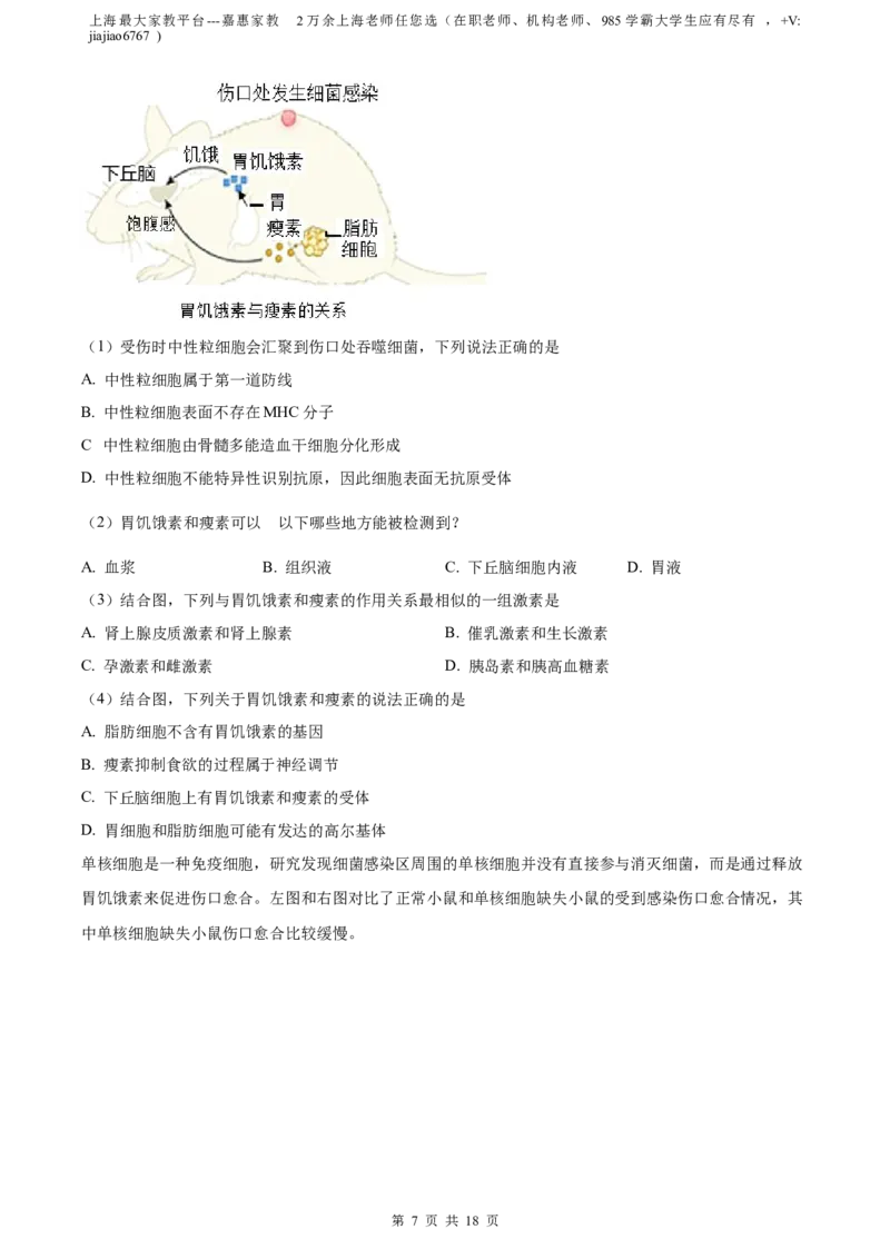 精品解析：上海市徐汇区2022~2023学年高三上学期第一次模拟考试生物试题（解析版）_0122026上海中考一模二模真题试卷_2026年上海一模_上海1500初中高中试卷_高中_高三_模拟卷_生物