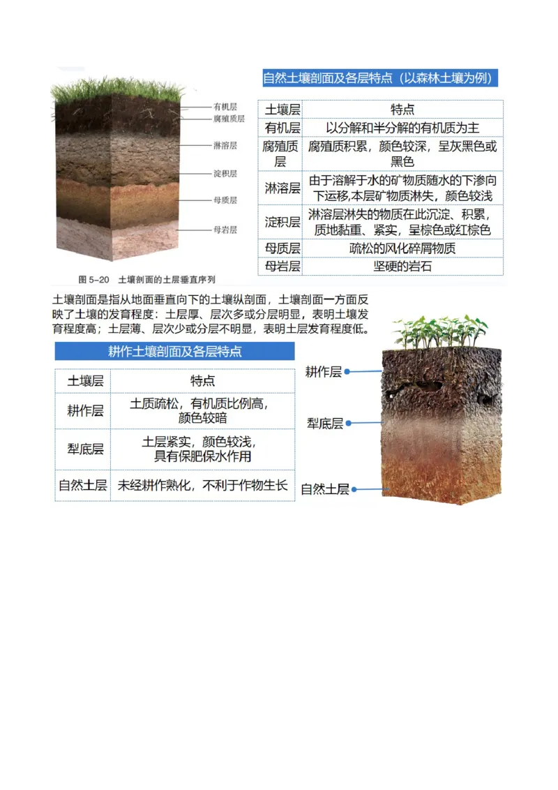 专题06自然地理环境的整体性与差异性（含生物与环境、冻土）（讲义）（原卷版）_新高考复习资料_2024年新高考复习资料_二轮复习资料_2024年高考地理二轮复习讲练测（新教材新高考）