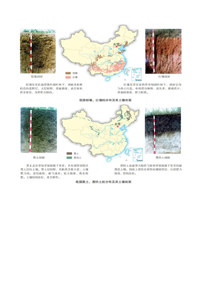 专题06自然地理环境的整体性与差异性（含生物与环境、冻土）（讲义）（原卷版）_新高考复习资料_2024年新高考复习资料_二轮复习资料_2024年高考地理二轮复习讲练测（新教材新高考）