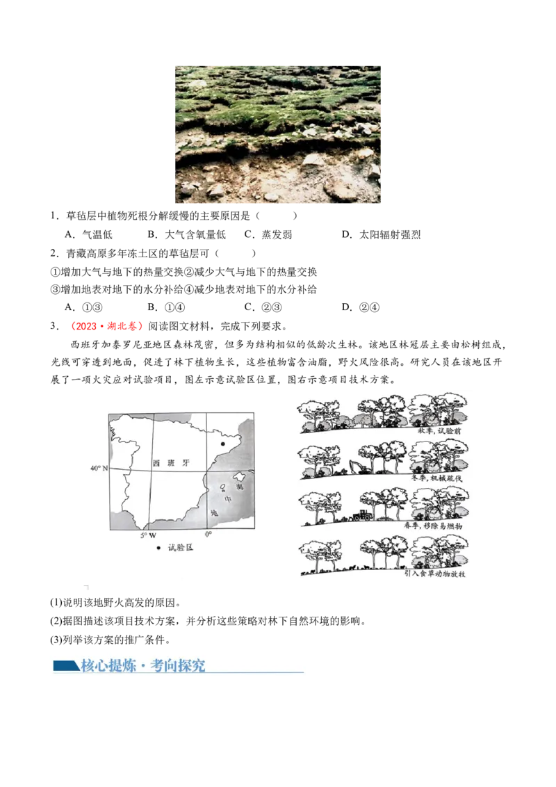 专题06自然地理环境的整体性与差异性（含生物与环境、冻土）（讲义）（原卷版）_新高考复习资料_2024年新高考复习资料_二轮复习资料_2024年高考地理二轮复习讲练测（新教材新高考）