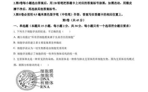 山东省枣庄市滕州市2024-2025学年高一上学期11月期中生物试题Word版无答案_2024年12月试卷_1217山东省枣庄市滕州市2024-2025学年高一上学期11月期中考试