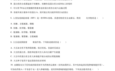 山东省枣庄市滕州市2024-2025学年高一上学期11月期中生物试题Word版无答案_2024年12月试卷_1217山东省枣庄市滕州市2024-2025学年高一上学期11月期中考试
