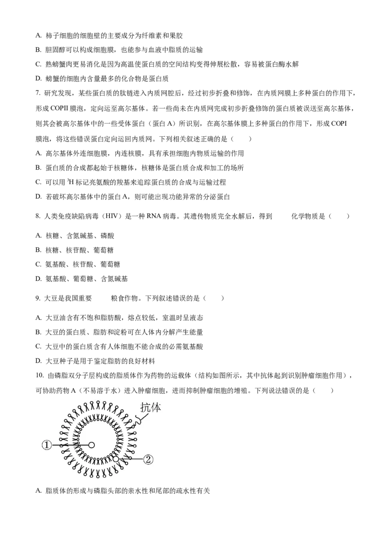 山东省枣庄市滕州市2024-2025学年高一上学期11月期中生物试题Word版无答案_2024年12月试卷_1217山东省枣庄市滕州市2024-2025学年高一上学期11月期中考试