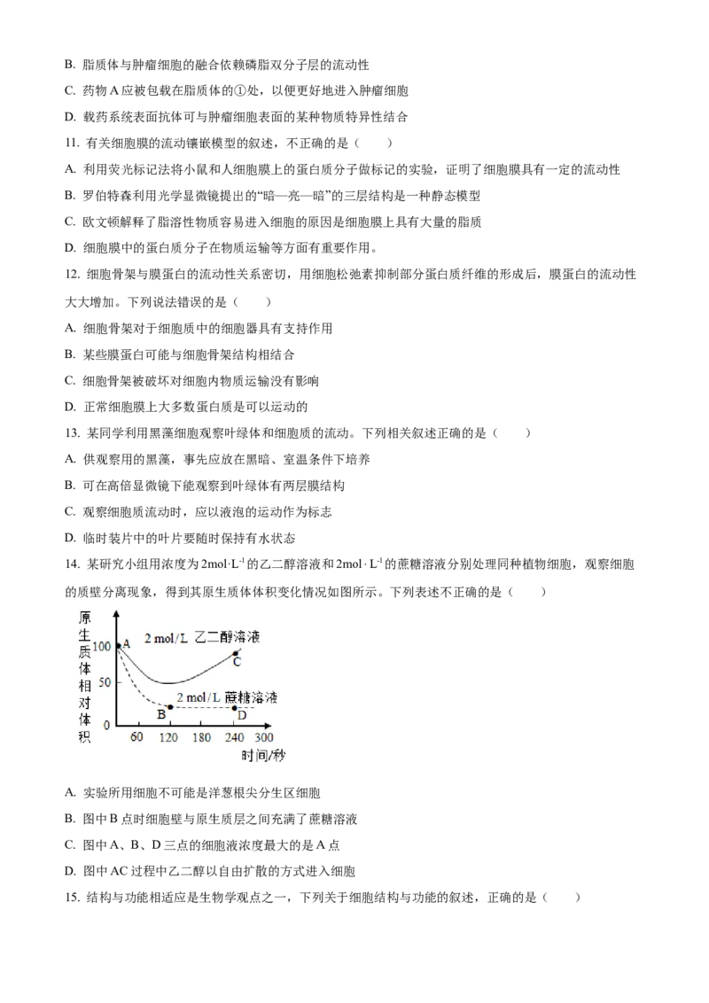 山东省枣庄市滕州市2024-2025学年高一上学期11月期中生物试题Word版无答案_2024年12月试卷_1217山东省枣庄市滕州市2024-2025学年高一上学期11月期中考试