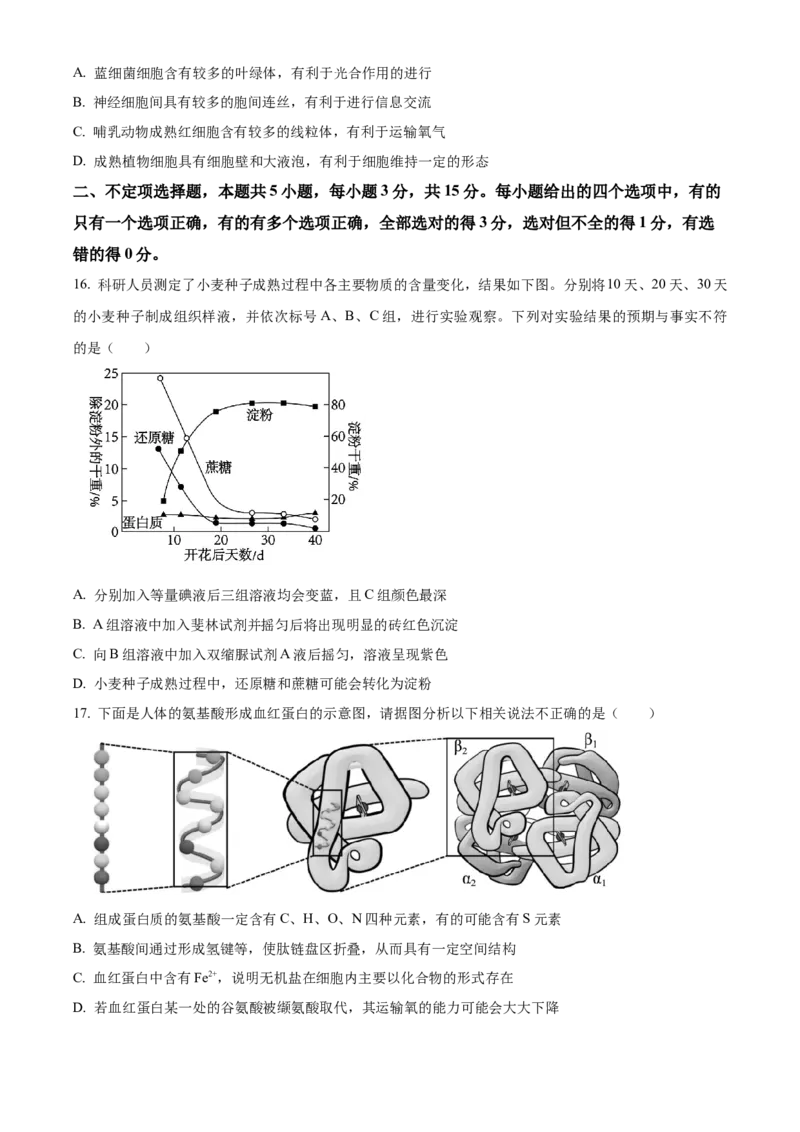 山东省枣庄市滕州市2024-2025学年高一上学期11月期中生物试题Word版无答案_2024年12月试卷_1217山东省枣庄市滕州市2024-2025学年高一上学期11月期中考试