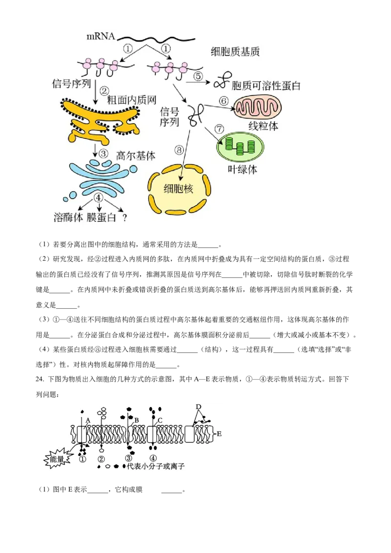 山东省枣庄市滕州市2024-2025学年高一上学期11月期中生物试题Word版无答案_2024年12月试卷_1217山东省枣庄市滕州市2024-2025学年高一上学期11月期中考试