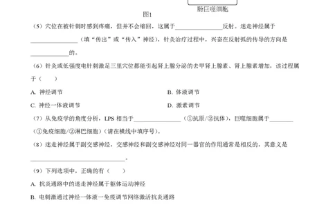 精品解析：上海市华东师范大学第二附属中学2023-2024学年高三9月月考生物试题（原卷版）_0122026上海中考一模二模真题试卷_2026年上海一模_上海1500初中高中试卷_高中_高三_上学期