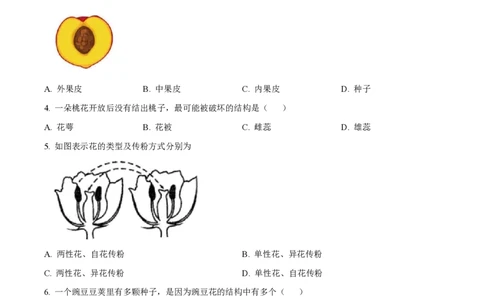 精品解析：上海市闵行区2022-2023学年九年级上学期期末练习生命科学试题（原卷版）_0122026上海中考一模二模真题试卷_2026年上海一模_上海1500初中高中试卷_初中_九年级_上学期_3：期末