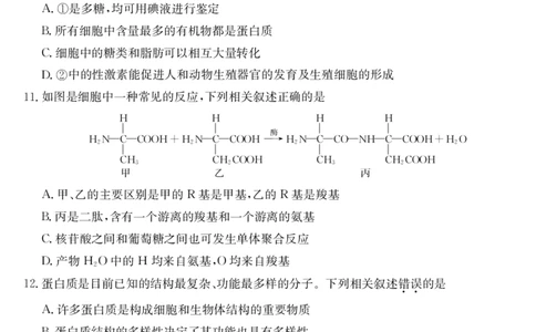 安徽省县中联盟2025-2026学年第一学期高一期中考试-生物_2025年11月高一试卷_251123安徽省县中联盟2025-2026学年第一学期高一期中考试（26-L-216A）（全）