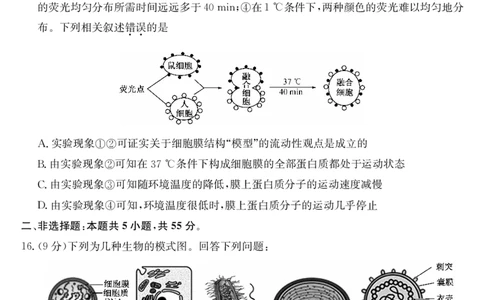 安徽省县中联盟2025-2026学年第一学期高一期中考试-生物_2025年11月高一试卷_251123安徽省县中联盟2025-2026学年第一学期高一期中考试（26-L-216A）（全）