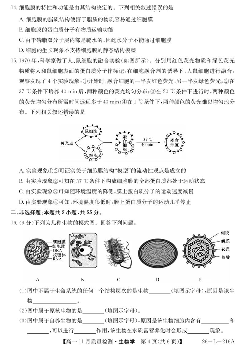 安徽省县中联盟2025-2026学年第一学期高一期中考试-生物_2025年11月高一试卷_251123安徽省县中联盟2025-2026学年第一学期高一期中考试（26-L-216A）（全）