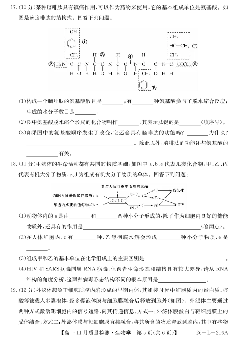 安徽省县中联盟2025-2026学年第一学期高一期中考试-生物_2025年11月高一试卷_251123安徽省县中联盟2025-2026学年第一学期高一期中考试（26-L-216A）（全）