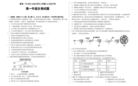 山东省夏津第一中学2025-2026学年高一上学期12月月考生物试题_2026年01月高一试卷_260101山东省德州市夏津第一中学2025-2026学年高一上学期12月月考（全）