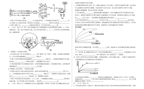 山东省夏津第一中学2025-2026学年高一上学期12月月考生物试题_2026年01月高一试卷_260101山东省德州市夏津第一中学2025-2026学年高一上学期12月月考（全）