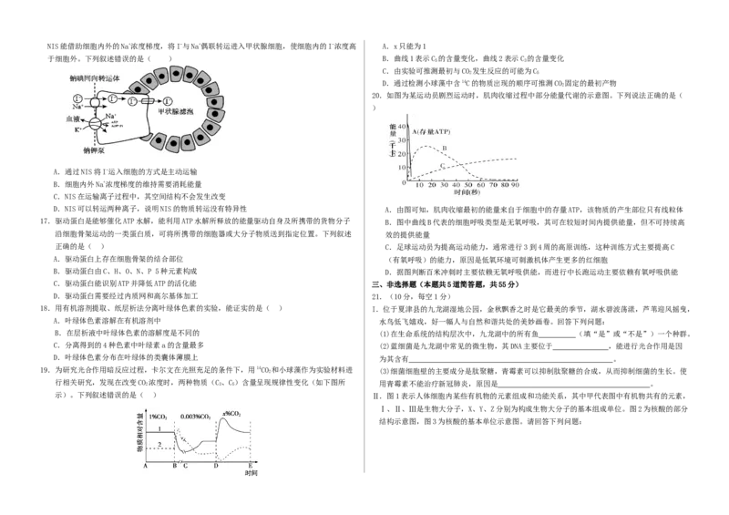 山东省夏津第一中学2025-2026学年高一上学期12月月考生物试题_2026年01月高一试卷_260101山东省德州市夏津第一中学2025-2026学年高一上学期12月月考（全）