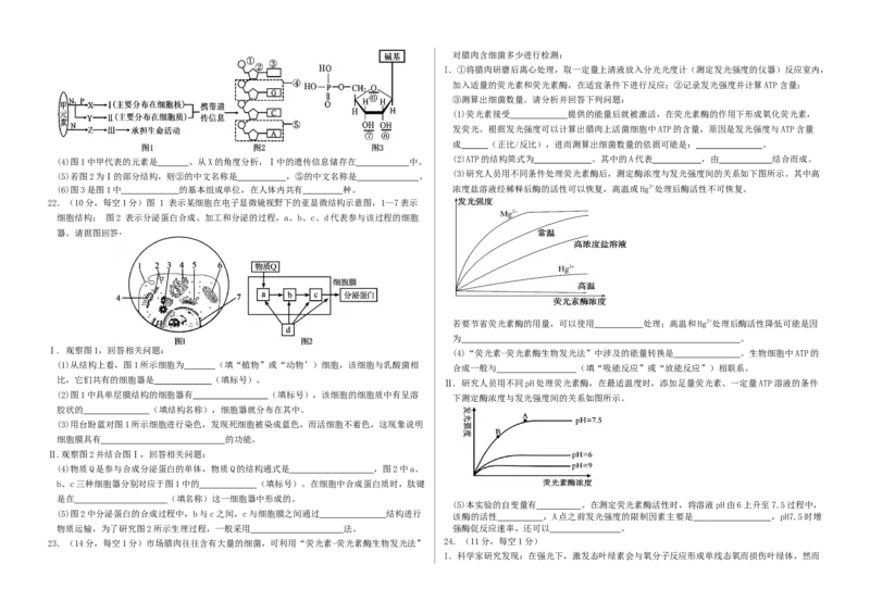 山东省夏津第一中学2025-2026学年高一上学期12月月考生物试题_2026年01月高一试卷_260101山东省德州市夏津第一中学2025-2026学年高一上学期12月月考（全）