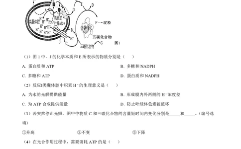 精品解析：上海市曹杨二中2022-2023学年高一下学期期末生物试题（解析版）_0122026上海中考一模二模真题试卷_2026年上海一模_上海1500初中高中试卷_高中_高一_下学期_3：期末