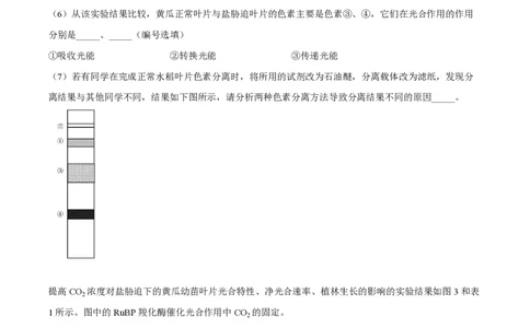 精品解析：上海市曹杨二中2022-2023学年高一下学期期末生物试题（解析版）_0122026上海中考一模二模真题试卷_2026年上海一模_上海1500初中高中试卷_高中_高一_下学期_3：期末