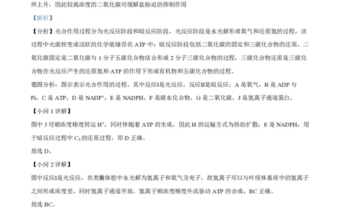 精品解析：上海市曹杨二中2022-2023学年高一下学期期末生物试题（解析版）_0122026上海中考一模二模真题试卷_2026年上海一模_上海1500初中高中试卷_高中_高一_下学期_3：期末