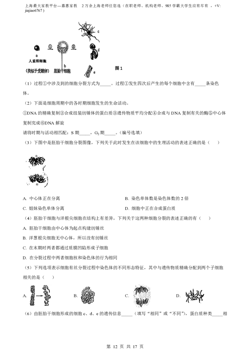 精品解析：上海市曹杨二中2022-2023学年高一下学期期末生物试题（解析版）_0122026上海中考一模二模真题试卷_2026年上海一模_上海1500初中高中试卷_高中_高一_下学期_3：期末