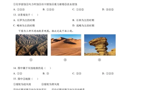 宁夏回族自治区石嘴山市第一中学2024-2025学年高一上学期1月期末地理试题Word版无答案_2025年03月试卷_0316宁夏回族自治区石嘴山市第一中学2024-2025学年高一上学期1月期末考试