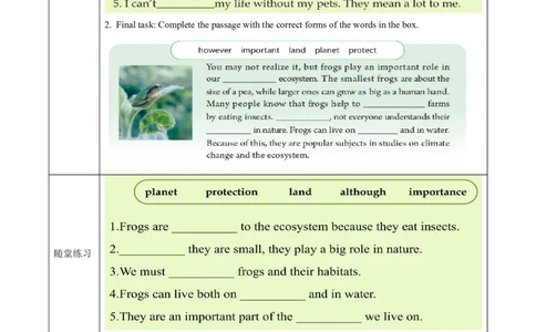 Unit4课时5SectionBVocabularyinuse2a-2d趣味词汇（导学案）英语人教版2024八年级上册_最新人教版英语八年级上册_新版_初中英语8上新更新第二套可选择_01课件+教案+导学案+分层作业
