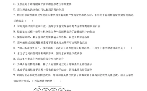 安徽省亳州市第二完全中学2025-2026学年高一上学期10月月考生物试题（原卷版）_2025年11月高一试卷_251109安徽省亳州市第二完全中学2025-2026学年高一上学期10月月考