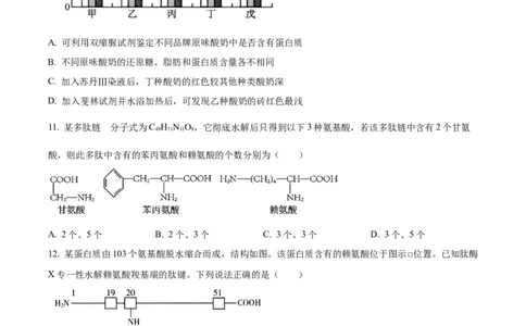 安徽省亳州市第二完全中学2025-2026学年高一上学期10月月考生物试题（原卷版）_2025年11月高一试卷_251109安徽省亳州市第二完全中学2025-2026学年高一上学期10月月考