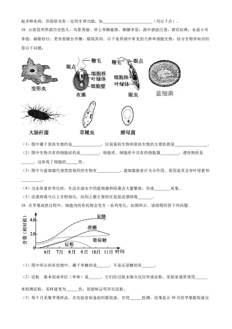 安徽省亳州市第二完全中学2025-2026学年高一上学期10月月考生物试题（原卷版）_2025年11月高一试卷_251109安徽省亳州市第二完全中学2025-2026学年高一上学期10月月考