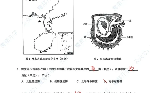 浦东跨学科手写参考答案_0122026上海中考一模二模真题试卷_2026上海二模更新中1_杨浦
