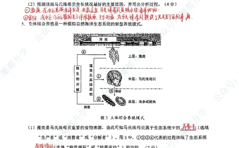 浦东跨学科手写参考答案_0122026上海中考一模二模真题试卷_2026上海二模更新中1_杨浦
