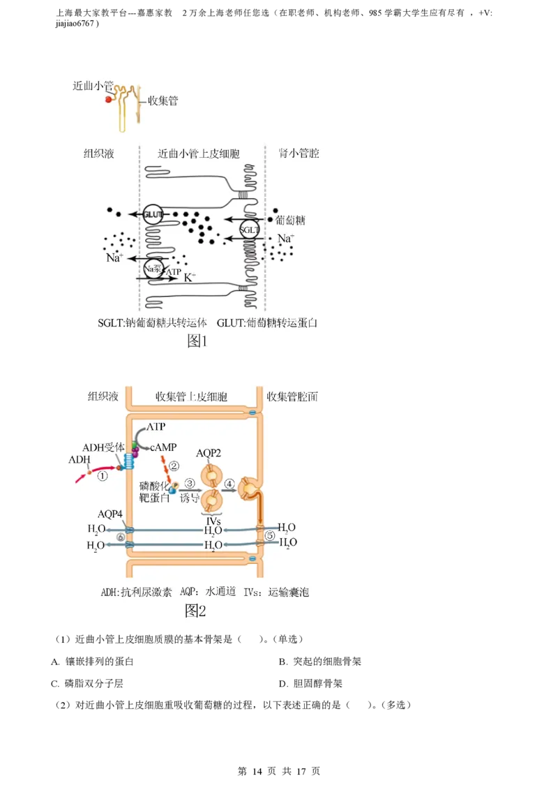 精品解析：上海七宝中学2022-2023学年高二上生物期末生物试题（解析版）_0122026上海中考一模二模真题试卷_2026年上海一模_上海1500初中高中试卷_高中_高二_上学期_3：期末