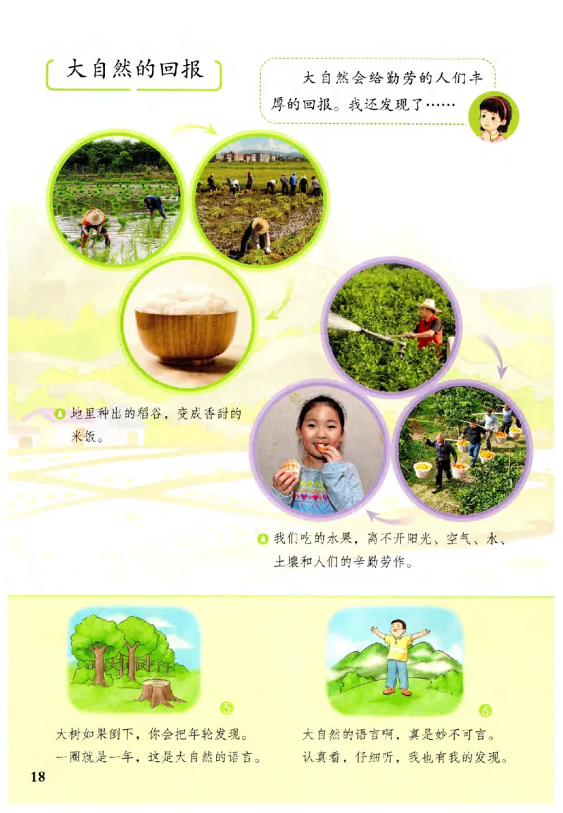 2026春二年级下册道德与法治电子课本(1)(1)_26新二年级道法下册（统编版）_版本一_部编版道德与法治2下_2026春新版_第二套_05.道法2下电子课本26春