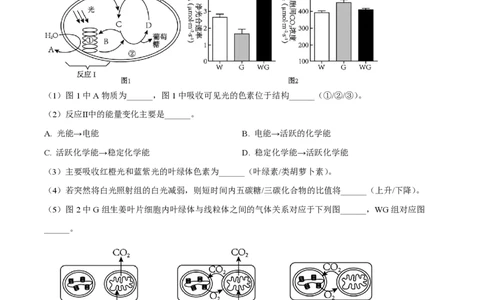 精品解析：上海市上海中学2022-2023学年高二下学期期中生物试题（解析版）_0122026上海中考一模二模真题试卷_2026年上海一模_上海1500初中高中试卷_高中_高二_下学期_2：期中