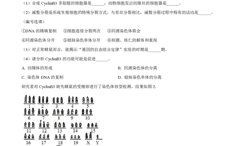 精品解析：上海市上海中学2022-2023学年高二下学期期中生物试题（解析版）_0122026上海中考一模二模真题试卷_2026年上海一模_上海1500初中高中试卷_高中_高二_下学期_2：期中