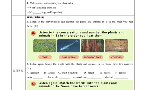 Unit4课时1SectionA（1a-1d）（导学案）英语人教版2024八年级上册_最新人教版英语八年级上册_新版_初中英语8上新更新第二套可选择_01课件+教案+导学案+分层作业_3导学案