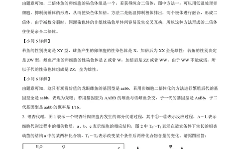 精品解析：上海市某校2023-2024学年高二10月考试生物试题（解析版）_0122026上海中考一模二模真题试卷_2026年上海一模_上海1500初中高中试卷_高中_高二_上学期_1：月考