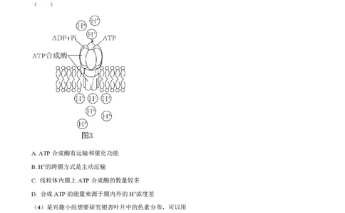 精品解析：上海市某校2023-2024学年高二10月考试生物试题（解析版）_0122026上海中考一模二模真题试卷_2026年上海一模_上海1500初中高中试卷_高中_高二_上学期_1：月考