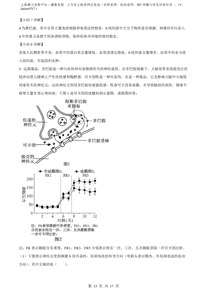 精品解析：上海市某校2023-2024学年高二10月考试生物试题（解析版）_0122026上海中考一模二模真题试卷_2026年上海一模_上海1500初中高中试卷_高中_高二_上学期_1：月考