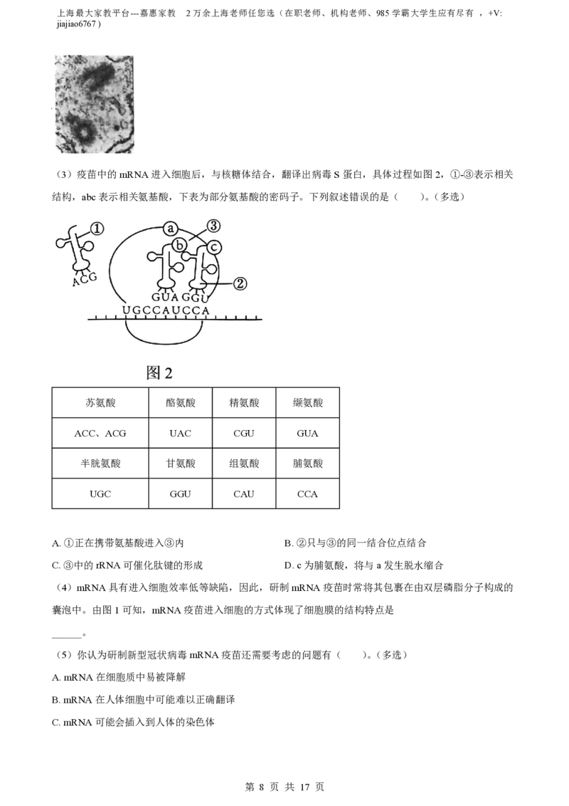 精品解析：上海市某校2023-2024学年高二10月考试生物试题（解析版）_0122026上海中考一模二模真题试卷_2026年上海一模_上海1500初中高中试卷_高中_高二_上学期_1：月考