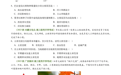 4.1主要植被与自然环境（练习）（原卷版）_新高考复习资料_2024年新高考复习资料_一轮复习资料_完备战2024年高考地理一轮复习考点帮（新高考专用）_第二部分自然地理