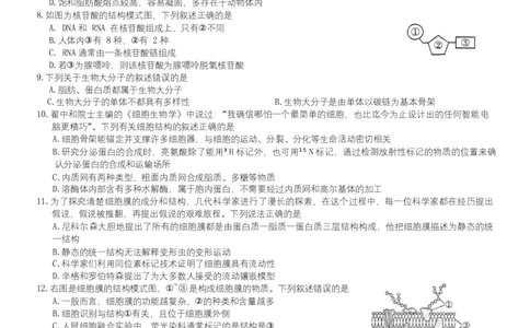 安徽省合肥市百花中学等四校联考2025-2026学年高一上学期11月期中考试生物Word版无答案_2025年12月高一试卷