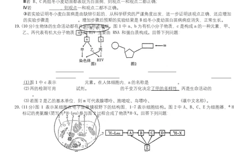安徽省合肥市百花中学等四校联考2025-2026学年高一上学期11月期中考试生物Word版无答案_2025年12月高一试卷