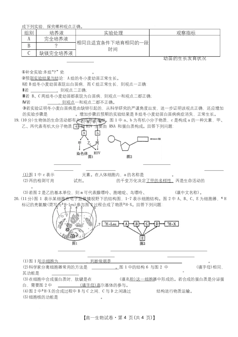 安徽省合肥市百花中学等四校联考2025-2026学年高一上学期11月期中考试生物Word版无答案_2025年12月高一试卷