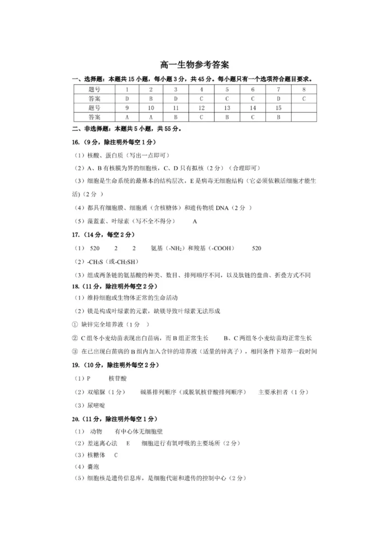 安徽省合肥市百花中学等四校联考2025-2026学年高一上学期11月期中考试生物Word版无答案_2025年12月高一试卷