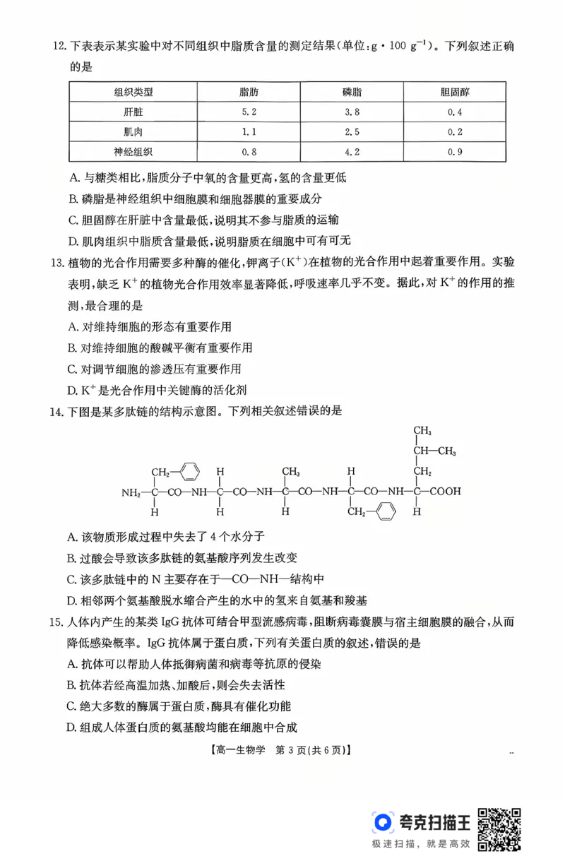 广东省2028届高一年级10月份联考（26-48A）生物_2025年10月高一试卷_251024金太阳&middot;广东省2028届高一年级10月份联考（26-48A）（全）