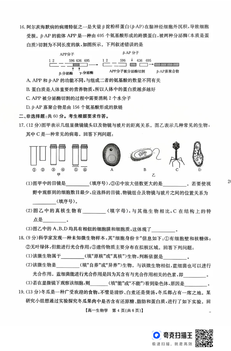 广东省2028届高一年级10月份联考（26-48A）生物_2025年10月高一试卷_251024金太阳&middot;广东省2028届高一年级10月份联考（26-48A）（全）