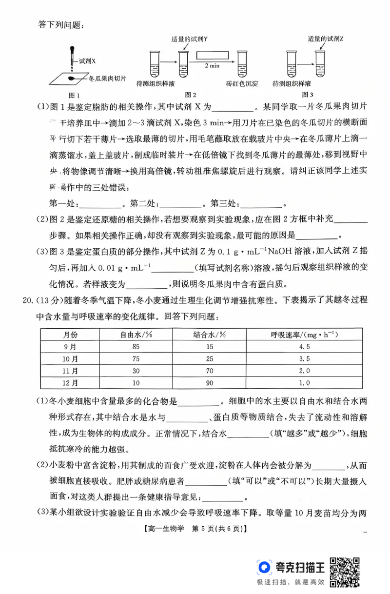 广东省2028届高一年级10月份联考（26-48A）生物_2025年10月高一试卷_251024金太阳&middot;广东省2028届高一年级10月份联考（26-48A）（全）